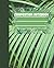 Composition Notebook: 100 page College ruled journal; Green palm leaf/ Jungle design 7.5 x 9.25