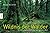 Wildnis der W�lder