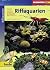 Faszination - Riffaquarien by Linda Fasulo