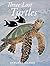 Three Lost Turtles