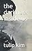 the darkness inside us by tulip kim