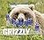 Grizzly: Herrscher der Wildnis