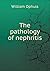 The pathology of nephritis