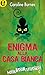 Enigma alla Casa Bianca: eLit (Italian Edition)