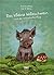 Das kleine Wildschwein und der traumhafte Flug by Andrea Böhm