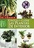 Conocer y cuidar las planta...