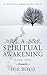 A Spiritual Awakening by Joe Boyd