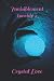 Invisiblement torride 2