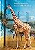 Natural Histories: Traces o...