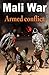 Mali War: Armed conflict