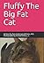 Fluffy The Big Fat Cat