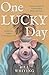 One Lucky Day: Troubled You...
