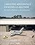 L'industrie aérospatiale en Nouvelle-Aquitaine: Un siècle d'histoire et de patrimoine