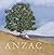 Anzac Tree