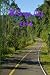 Mileage Log: Simple book to...