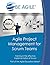 Agile Project Management for Scrum Teams: Training in the effective implementation of Scrum