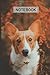 Corgi Notebook: Corgi Lovers Blank Lined Journal Notebook for Men Women Girls and Kids Gifts