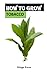 HOW TO GROW TOBACCO: Growing your own tobacco in the right steps and process