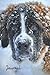 Saint Bernard Love Journal: Pet Lover's Blank Lined Gift Journal For Family & Friends