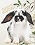 Hoppy Easter: 8.5x11 inch Sketchbook with 120 Blank Pages