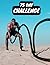 75 DAY CHALLENGE: Go Hard For 75 days and Win The War of Your brain! Mental Toughness Tracker For Diet Plan, 45 Minute Workouts, 10 Pages Book Read, ... AND FITNESS BOOK TRACKER AND GUIDED CHECKLIST