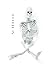 notebook skeleton cover: 120 lined papers