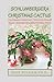 SCHLUMBERGERA CHRISTMAS CACTUS: Christmas Cасtuѕ Care: What You Shоuld Knоw Abоut the Beautiful Holiday Plаnt