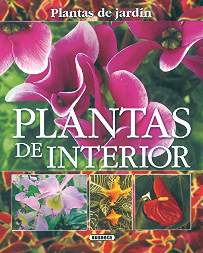 Plantas de interior (Paperback)