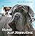 Hund auf Jobsuche by Niccel Steinberger