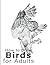 How to Draw Birds for Adult...