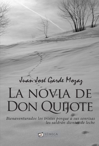 LA NOVIA DE DON QUIJOTE (Paperback)