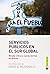 Servicios públicos en el Su...