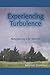 Experiencing Turbulence: Navigating Life Storms