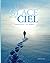 La glace et le ciel