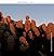 Montserrat al cor by Ramon Pinyol i Torrents