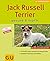 Jack Russell Terrier