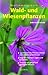 Bestimmungsbuch Wald- und Wiesenpflanzen.