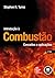 Introdução à Combustão by Stephen R. Turns