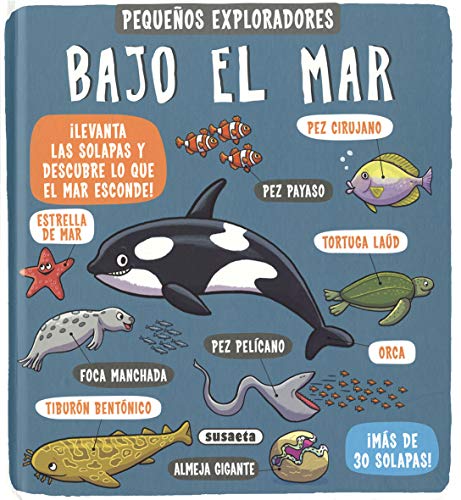 Bajo el mar (Board Book)