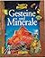 Tessloffs Welt des Wissens, Gesteine und Minerale by Tracy Staedter
