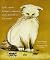 Gatos Aguias Formigas e Companhias - Contos Maravilhosos Com ... by Bernardita Uhart e Susana V...
