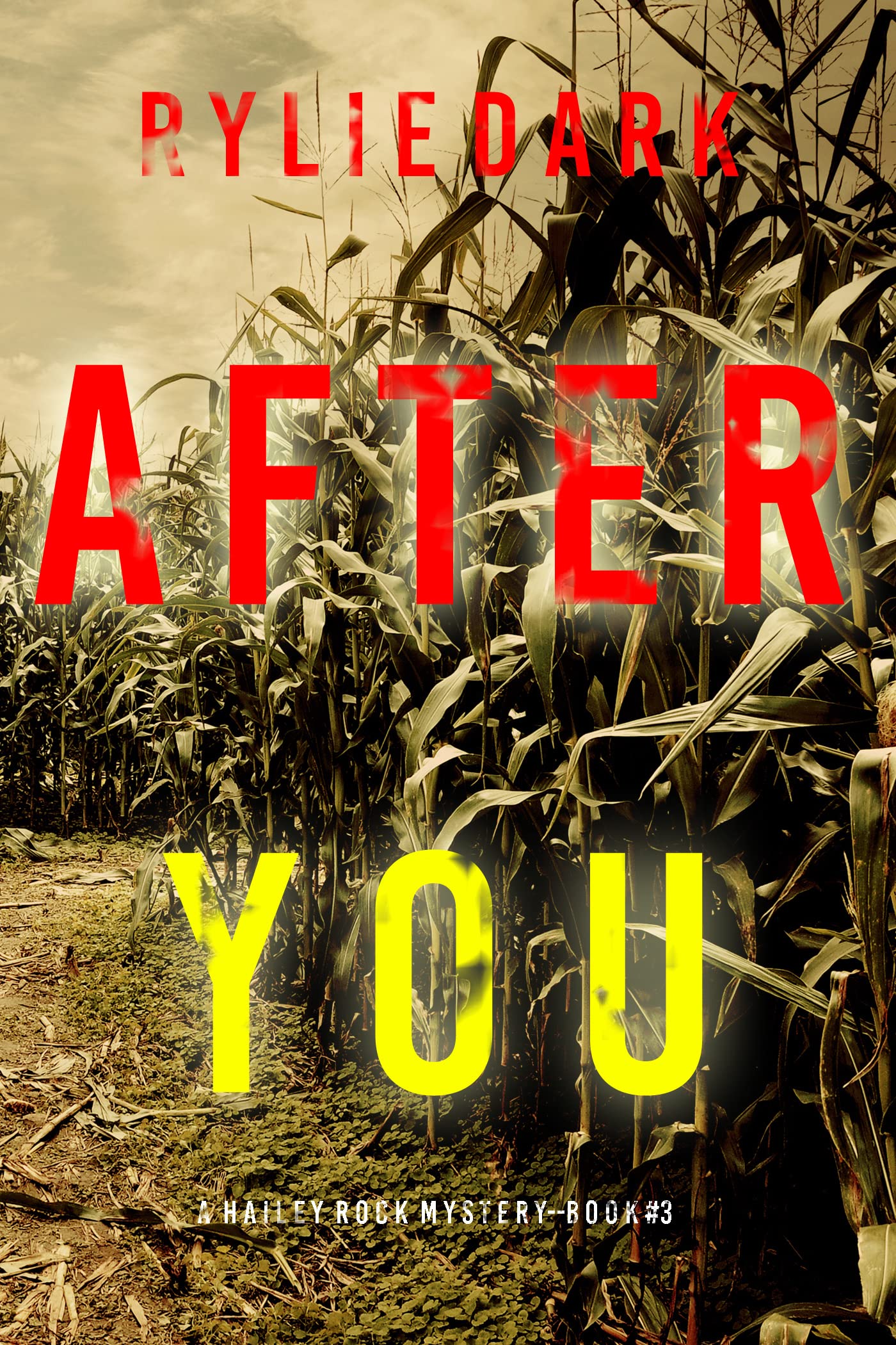 After You (Hailey Rock #3)