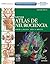 NETTER. Atlas de neurociencia