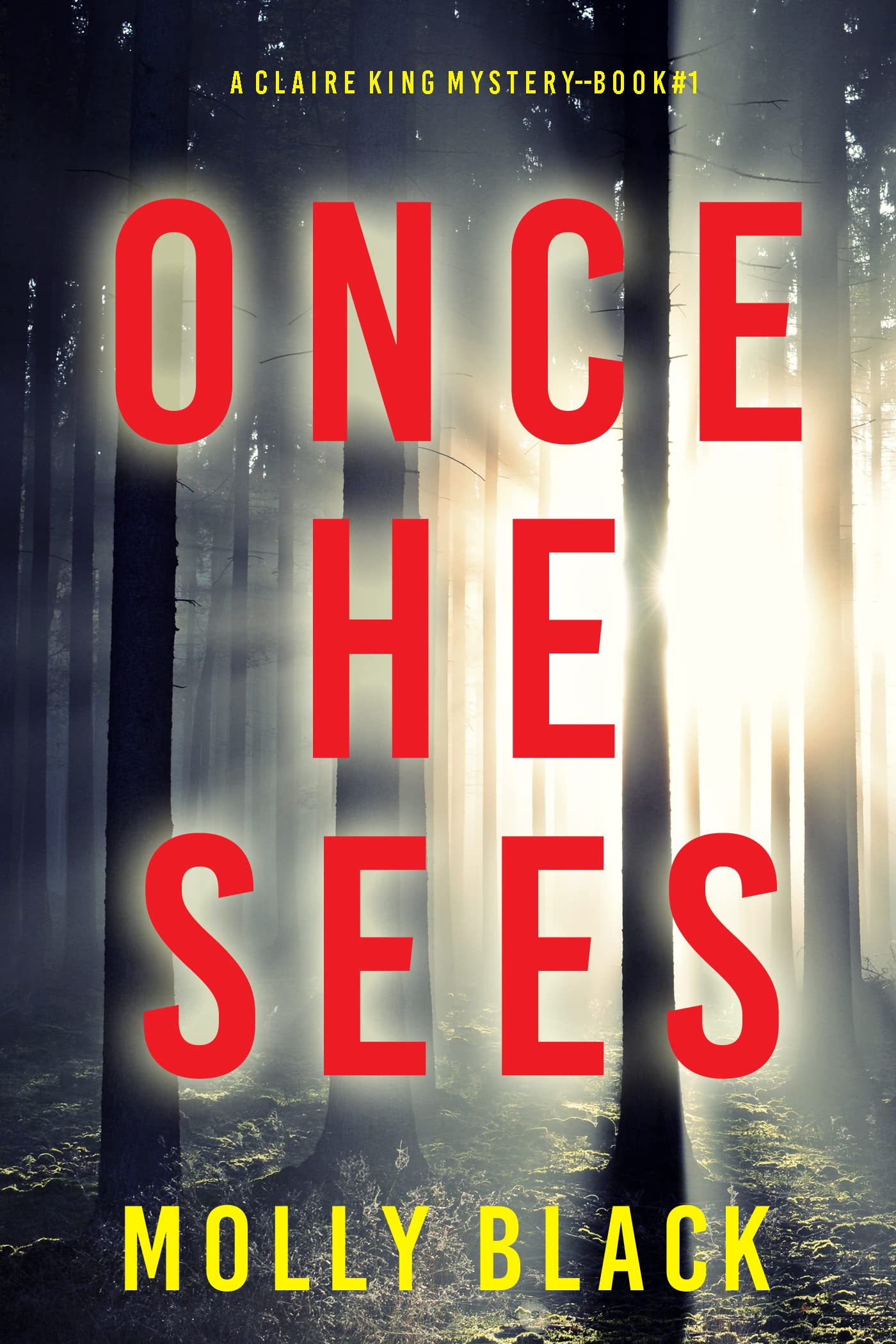 Once He Sees (Claire King, #1)