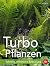Turbo-Pflanzen: Schnelle, effektvolle Begrünung