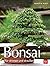 Bonsai: Für draußen und dri...