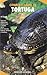 Conoce y cuida tu tortuga/ Turtles as a new Pet (Animales de ... by Al David