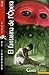 El fantasma de l'Òpera by Gaston Leroux El fantasma de l'Òpera by Gaston Leroux