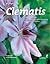 Clematis.
