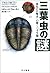 三葉虫の謎―「進化の目撃者」の驚くべき生態